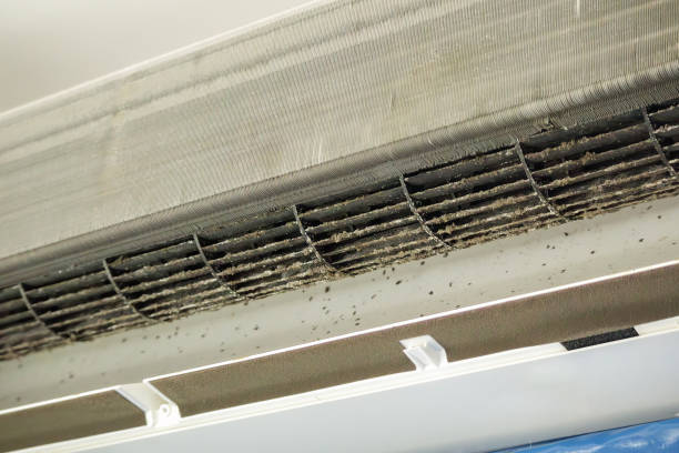 Best Professional Duct Cleaning Services  in Fredericksburg, PA